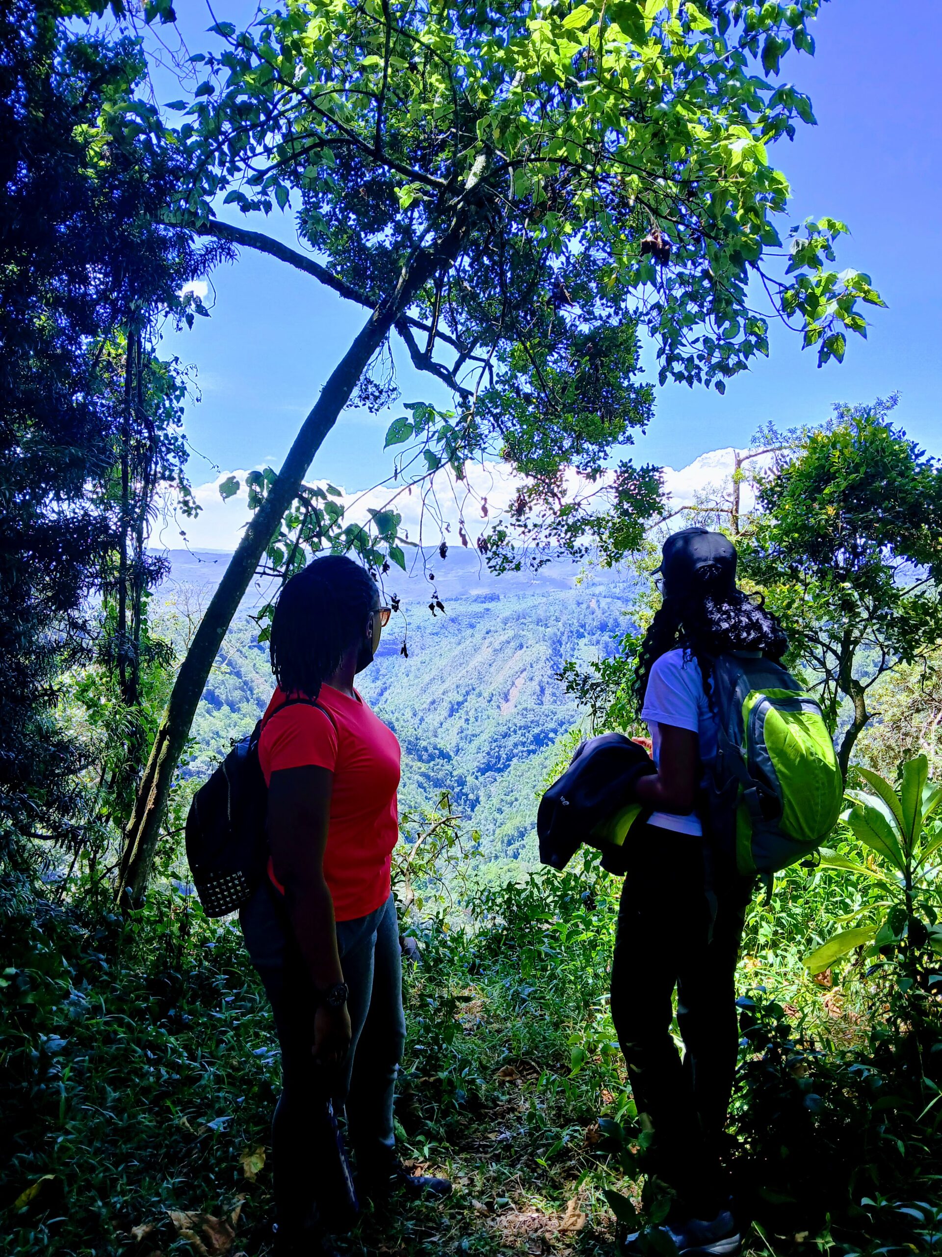 Eburru Forest (3)
