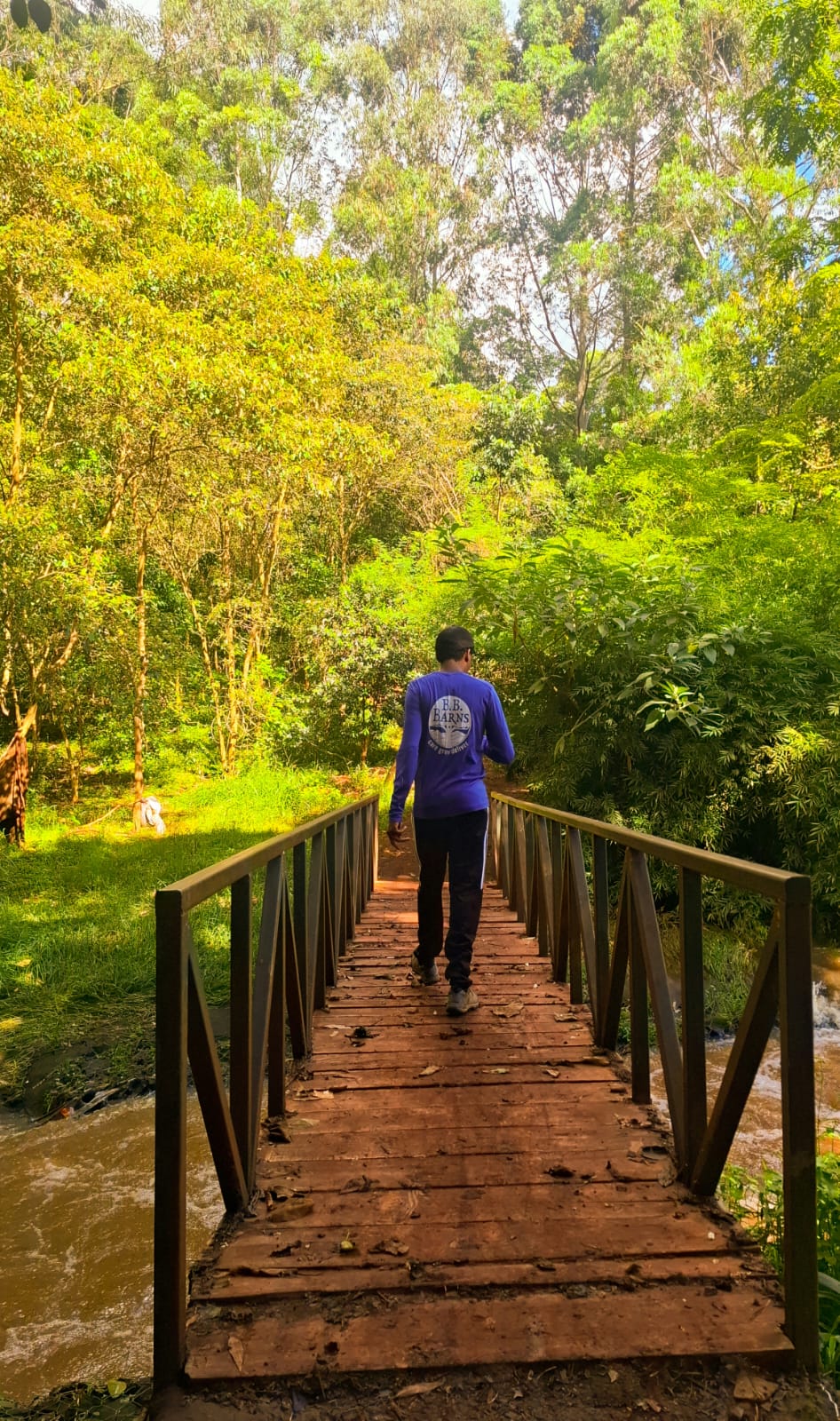 Karura Forest